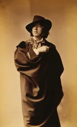 Oscar Wilde, 1882 (Albuminabzug)